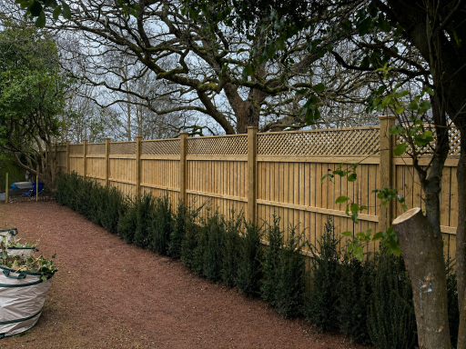 Panels and Planting