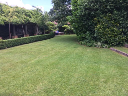 Garden Maintenance