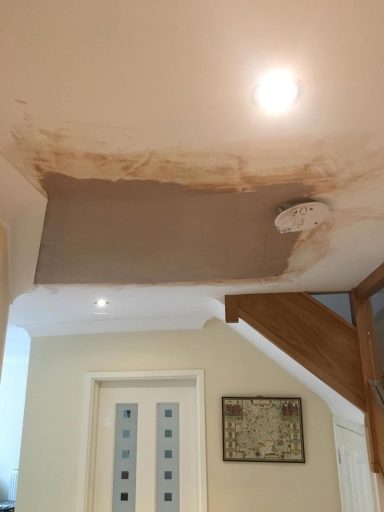 Water Damage (After)